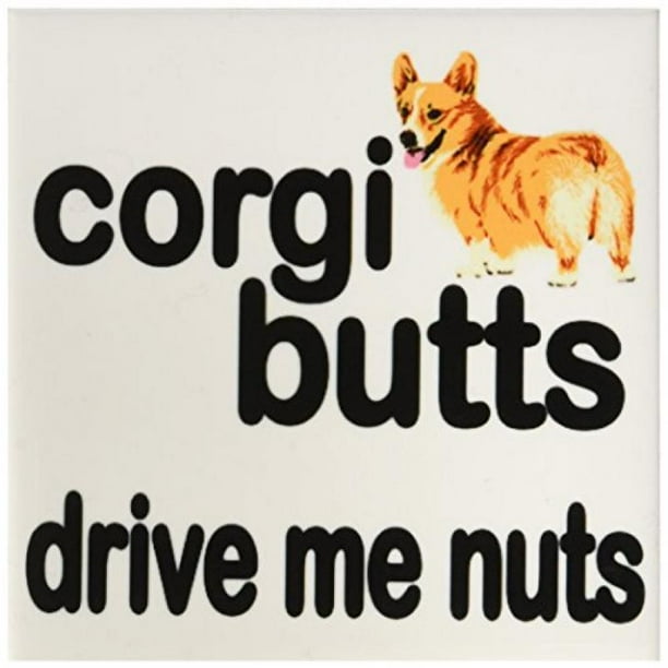 Soft Set of 4 3dRose Pembroke Welsh Corgi Coaster Soft Set of 4 3dRose Pembroke Welsh Corgi Coaster
